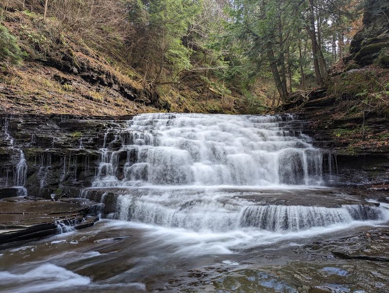 Salt Springs State Park, Montrose, Pennsylvania