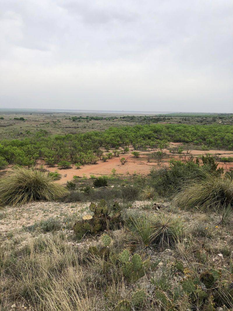 San Angelo State Park San Angelo State Park