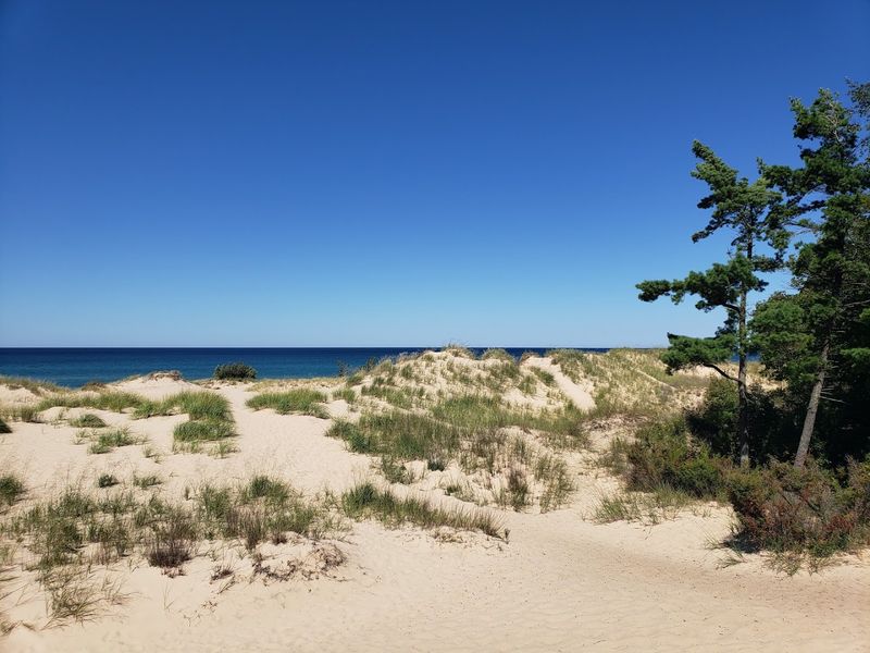 Sand, Forest, and Open Sky: The Landscape That Stops You Cold Sand, Forest, and Open Sky: The Landscape That Stops You Cold