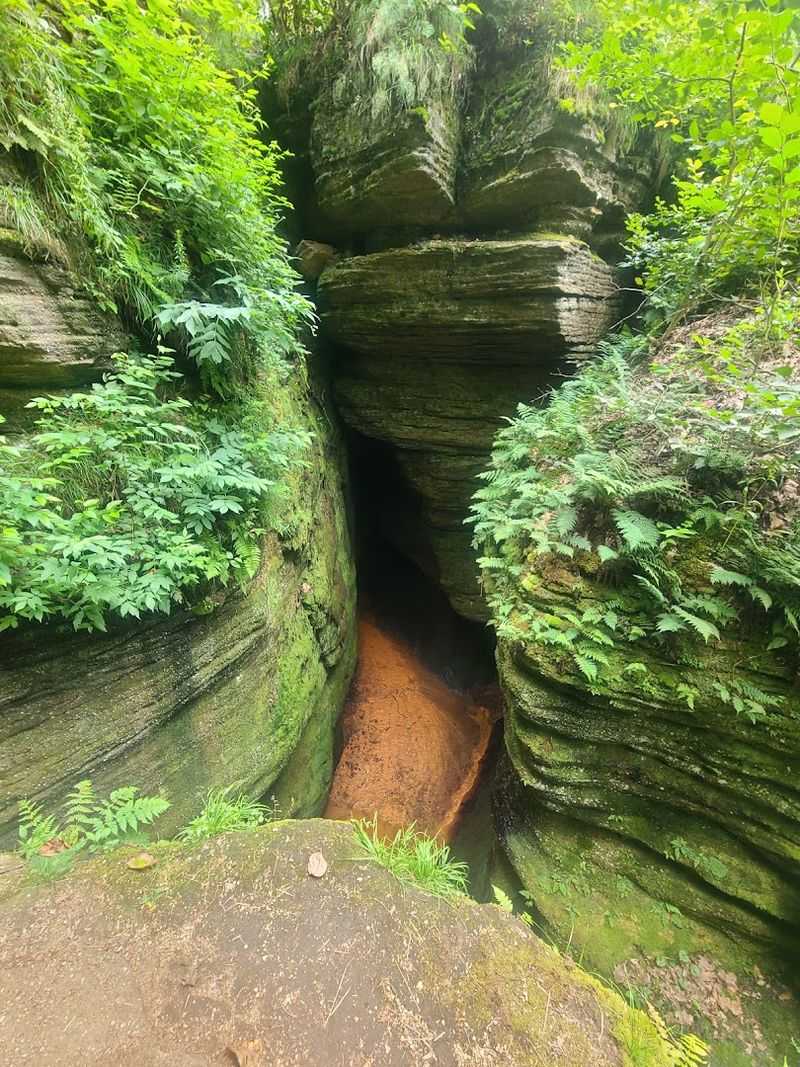 Sandstone Cliffs Give the Park Its Wild Beauty