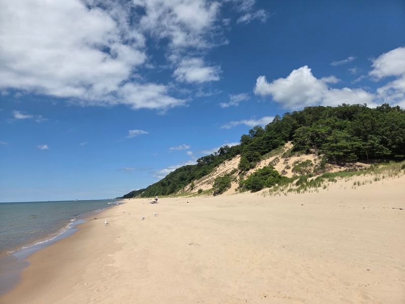 Saugatuck Dunes State Park – Saugatuck, Allegan County