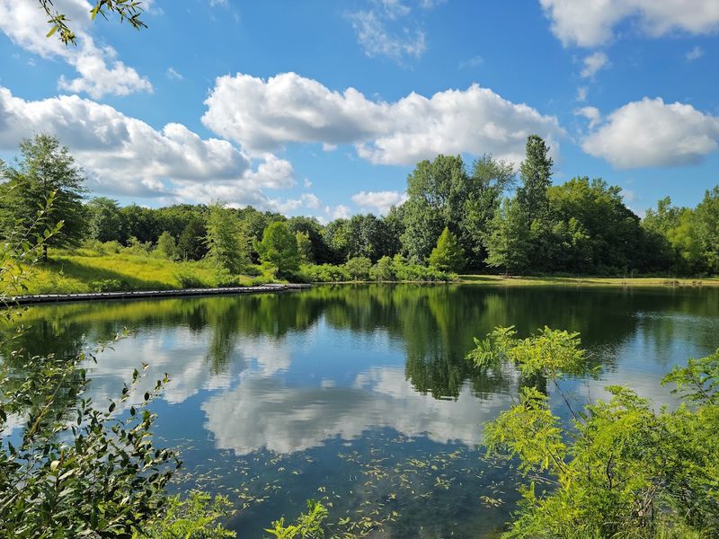 Scenic extras give the park a hidden gem feel