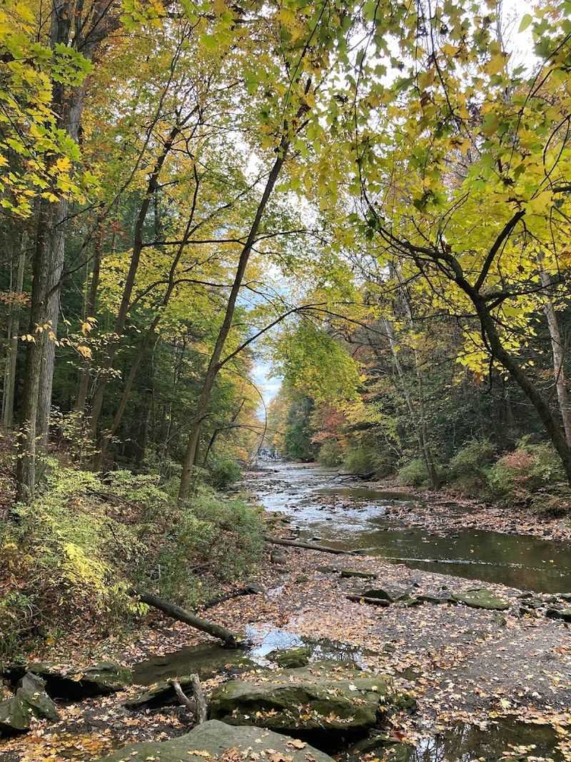 Scenic trails, streams, and wooded paths Scenic trails, streams, and wooded paths