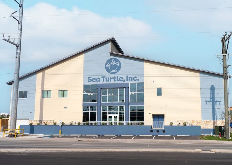 Sea Turtle Inc. and the Beach (South Padre Island)