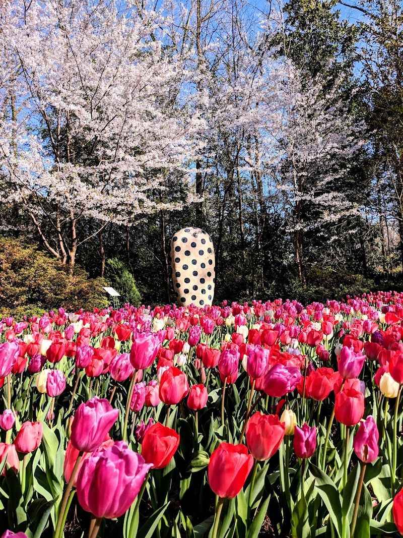 Seasonal Blooms Make Every Visit Feel Different