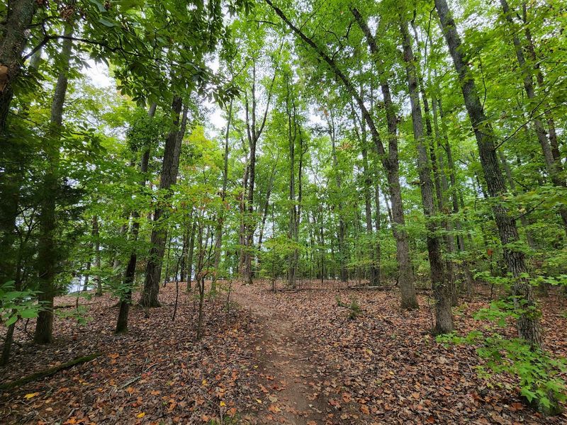 Seasonal Considerations And Trail Conditions