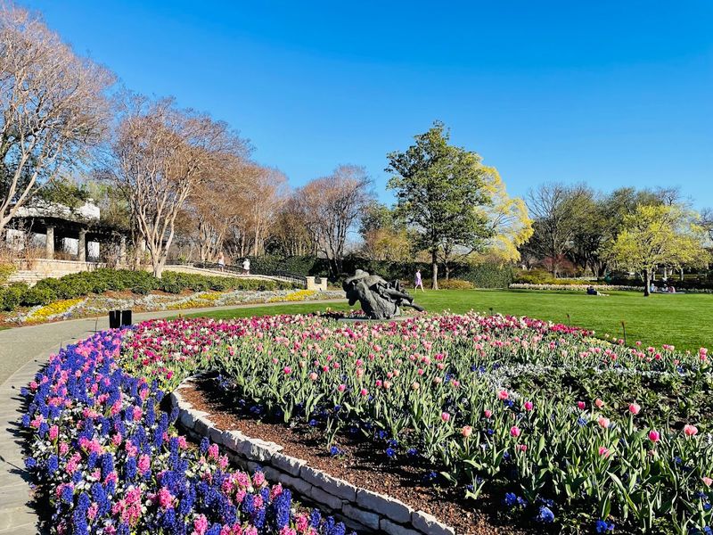 Seasonal Showstoppers: Dallas Blooms Seasonal Showstoppers: Dallas Blooms