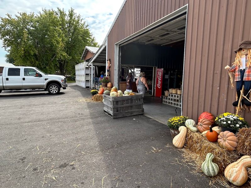 Seasonal variety beyond peaches and apples Seasonal variety beyond peaches and apples