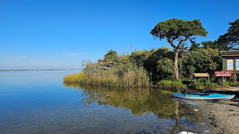 Sedge Islands Marine Conservation Zone - Berkeley Township