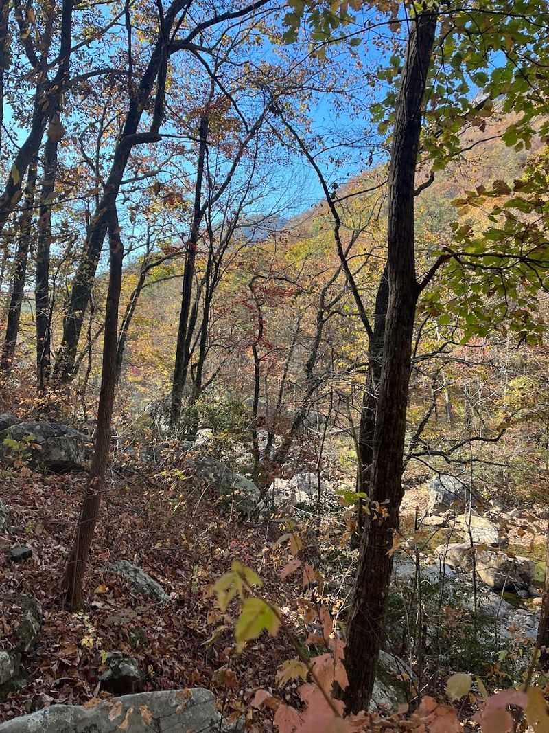 See Why This Soddy-Daisy Park Still Feels Like a Local Secret See Why This Soddy-Daisy Park Still Feels Like a Local Secret