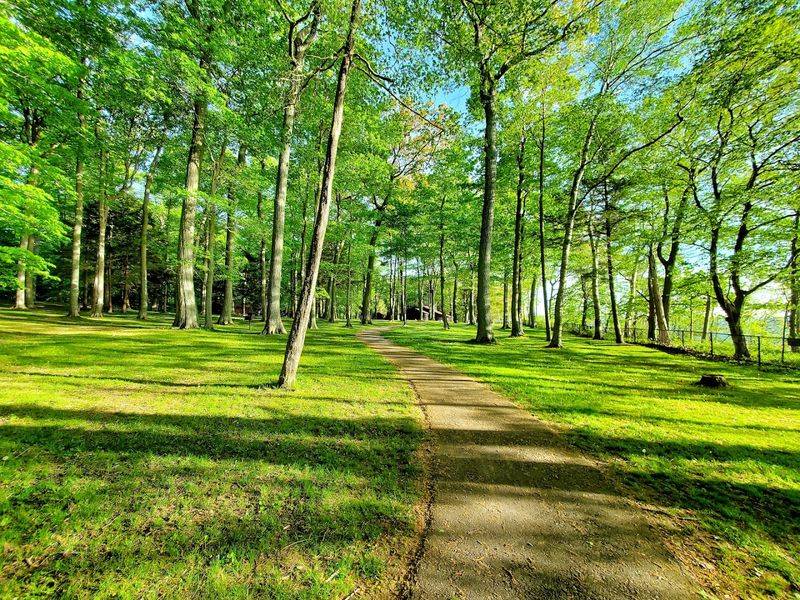 Selkirk Shores State Park Selkirk Shores State Park