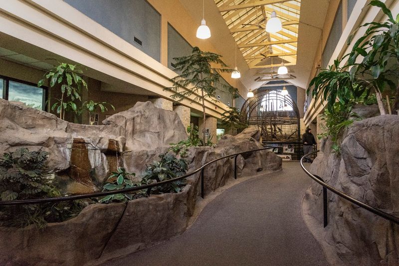 Sensory Garden, Quiet Zones, and the Layout That Makes It Work Sensory Garden, Quiet Zones, and the Layout That Makes It Work