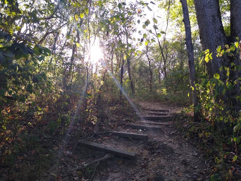 Seven Miles of Trails Wind Through the Park