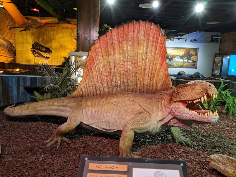 Seymour (Where Prehistoric Giants Roamed)