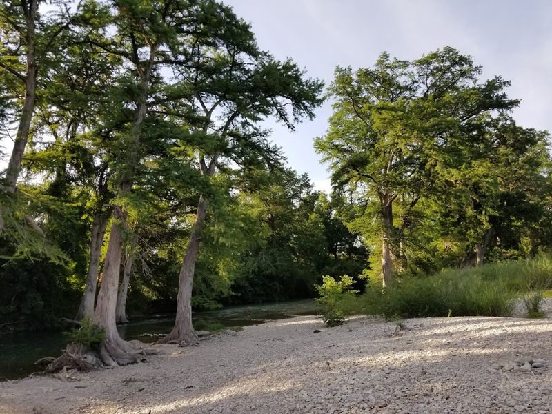 Shaded Picnic Areas Perfect for All-Day Visits Shaded Picnic Areas Perfect for All-Day Visits