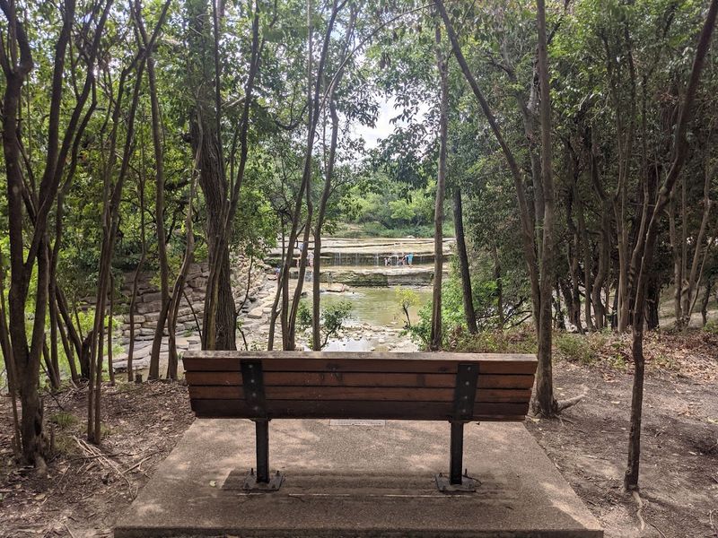 Shaded Picnic Spots Perfect for Lazy Afternoons