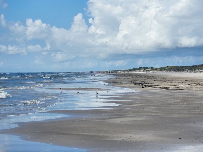 Shell Hunting Paradise Along the Surf Shell Hunting Paradise Along the Surf