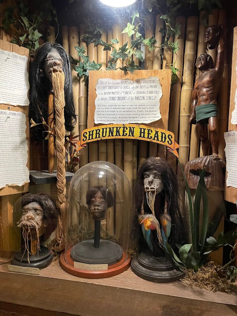 Shrunken Heads Cabinet Shrunken Heads Cabinet