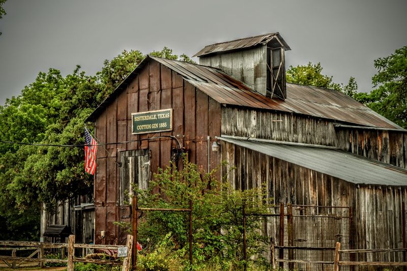 Sisterdale