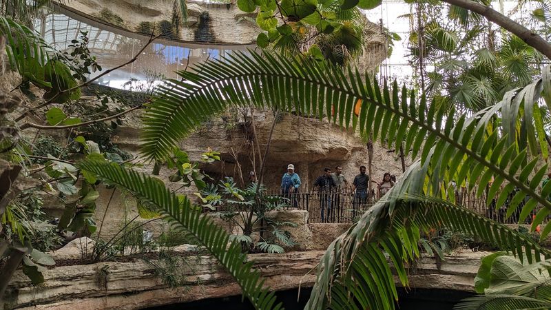 Sloths And Monkeys Hanging Around Like They Own The Place Sloths And Monkeys Hanging Around Like They Own The Place