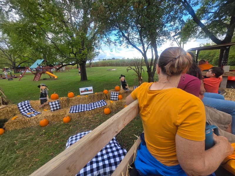 Slow Down and Enjoy a Classic Hayride Slow Down and Enjoy a Classic Hayride