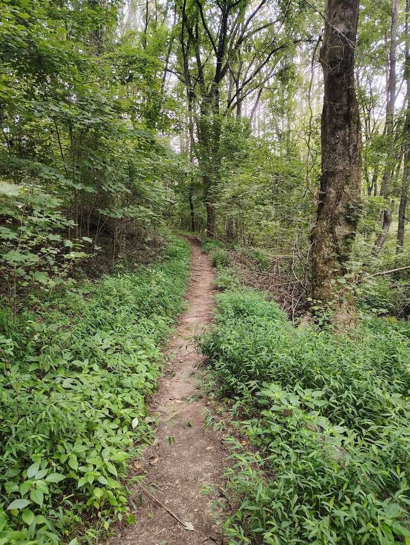 Smaller Crowds Make This Trail Feel Like A True Hidden Gem