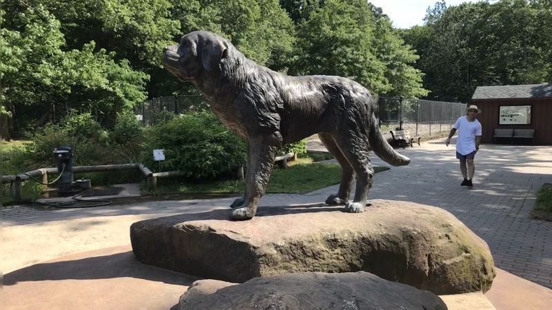 South Mountain Dog Park — Maplewood