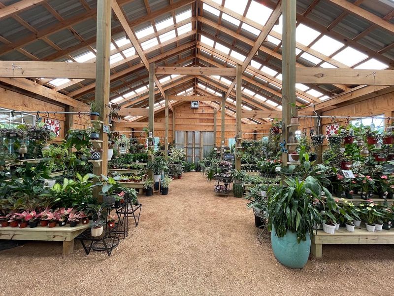 Sprawling Greenhouse Collection That Rivals Botanical Gardens
