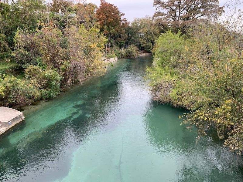 Spring-Fed Perfection Keeps Water Crystal Clear