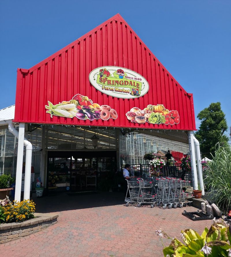 Springdale Farms - Cherry Hill Springdale Farms - Cherry Hill