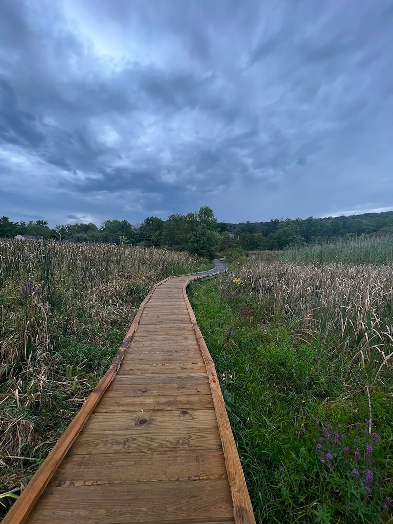 Stairway to Heaven and Pochuck Boardwalk — Vernon Stairway to Heaven and Pochuck Boardwalk — Vernon