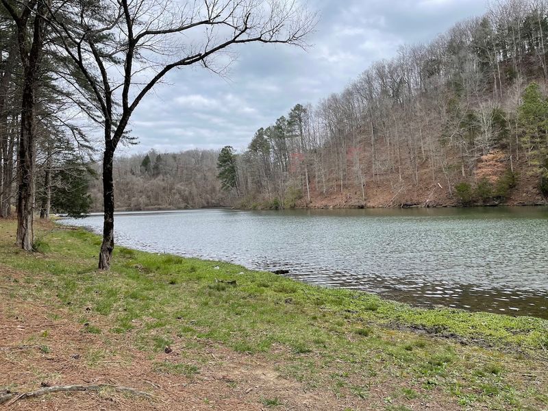 Standing Stone State Park — Hilham Standing Stone State Park — Hilham