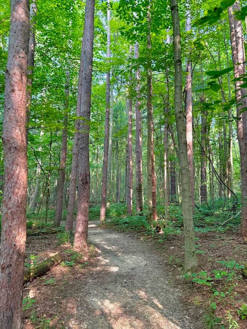 Starting At Pine Grove Trail Head