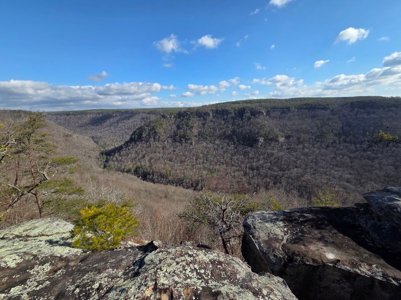 Steep Cliffs And Forest Views Keep The Hike Interesting Steep Cliffs And Forest Views Keep The Hike Interesting