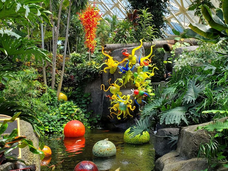 Step Inside The Butterfly Habitat Step Inside The Butterfly Habitat