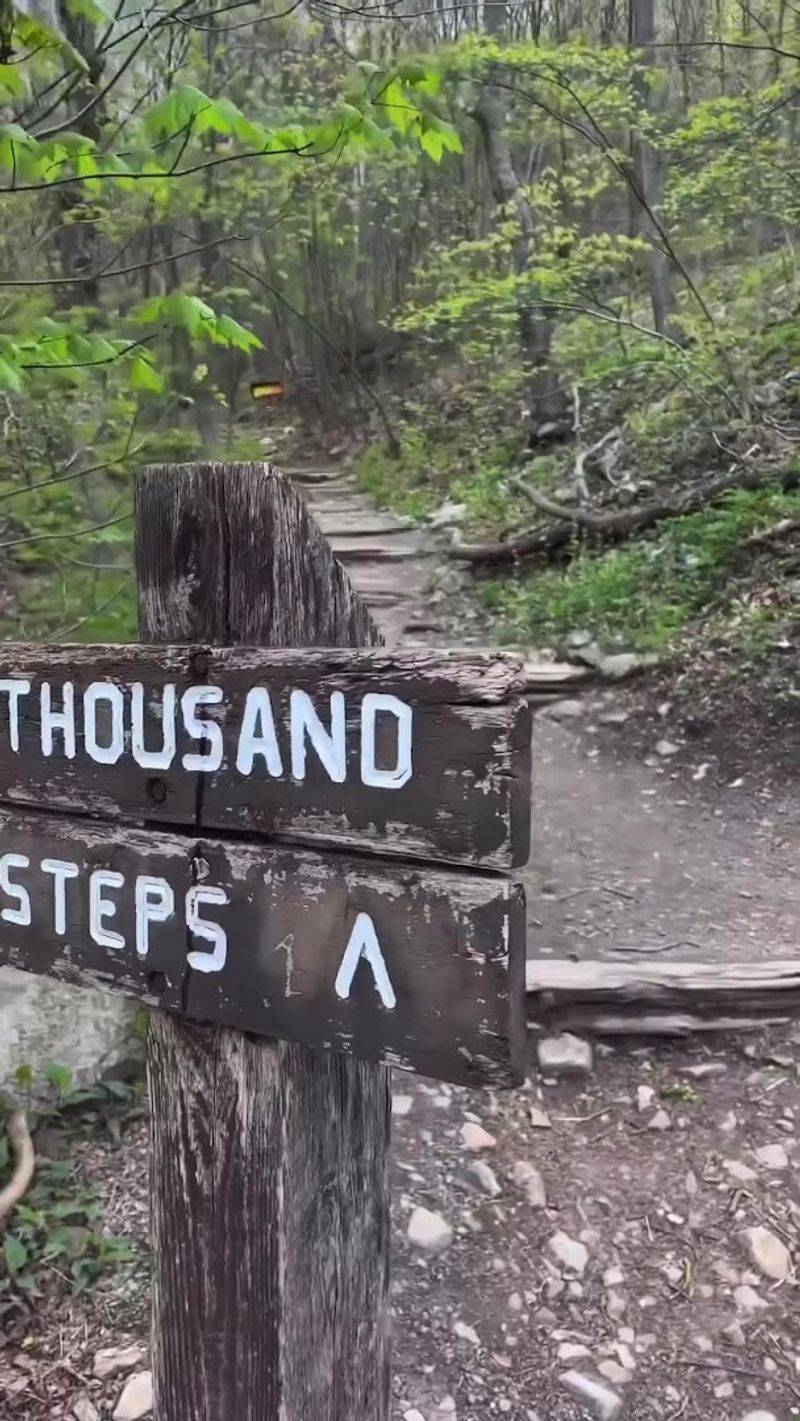 Step Markers Make the Challenge Feel Possible Step Markers Make the Challenge Feel Possible