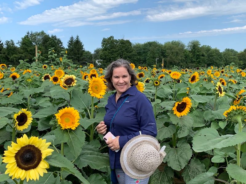 Stony Hill Farms