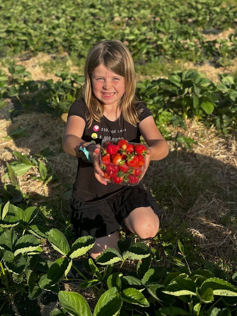 Strawberries, Raspberries, Lavender, and Flowers Turn Summer Into Picking Season