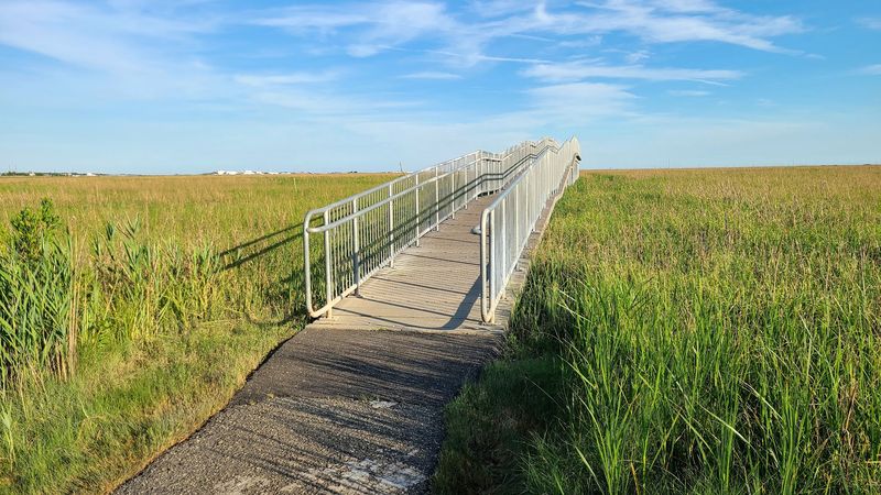Strawberry Avenue Boardwalk - Commercial Township