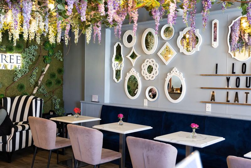 Sugar Tree Cafe — Nutley