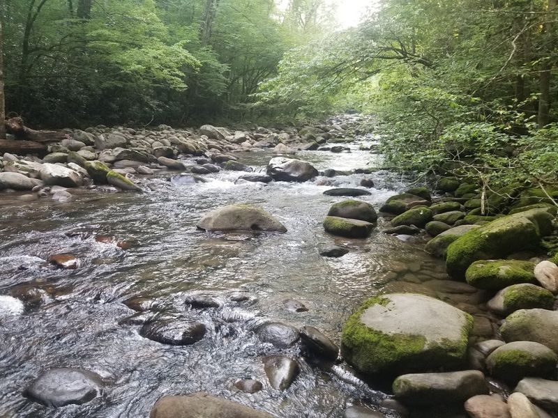 Sugarlands Valley Nature Trail — Gatlinburg Sugarlands Valley Nature Trail — Gatlinburg