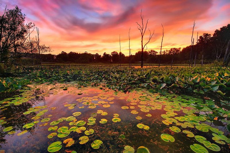 Sunrise, Dusk, And Seasonal Magic Sunrise, Dusk, And Seasonal Magic
