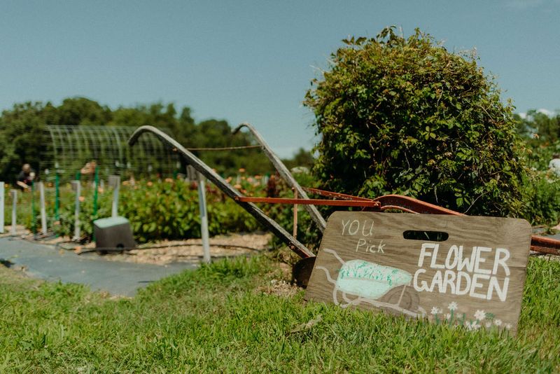 Support A Local Farm Built On Faith And Community Support A Local Farm Built On Faith And Community