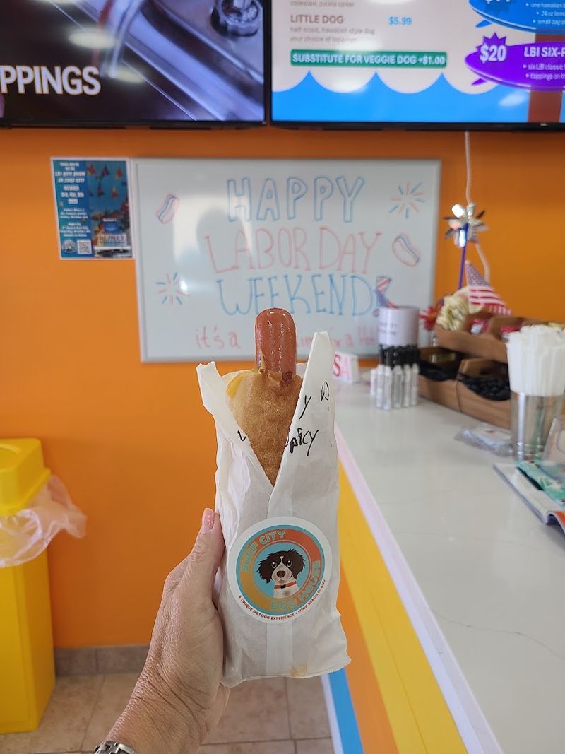 Surf City Dog House — Surf City