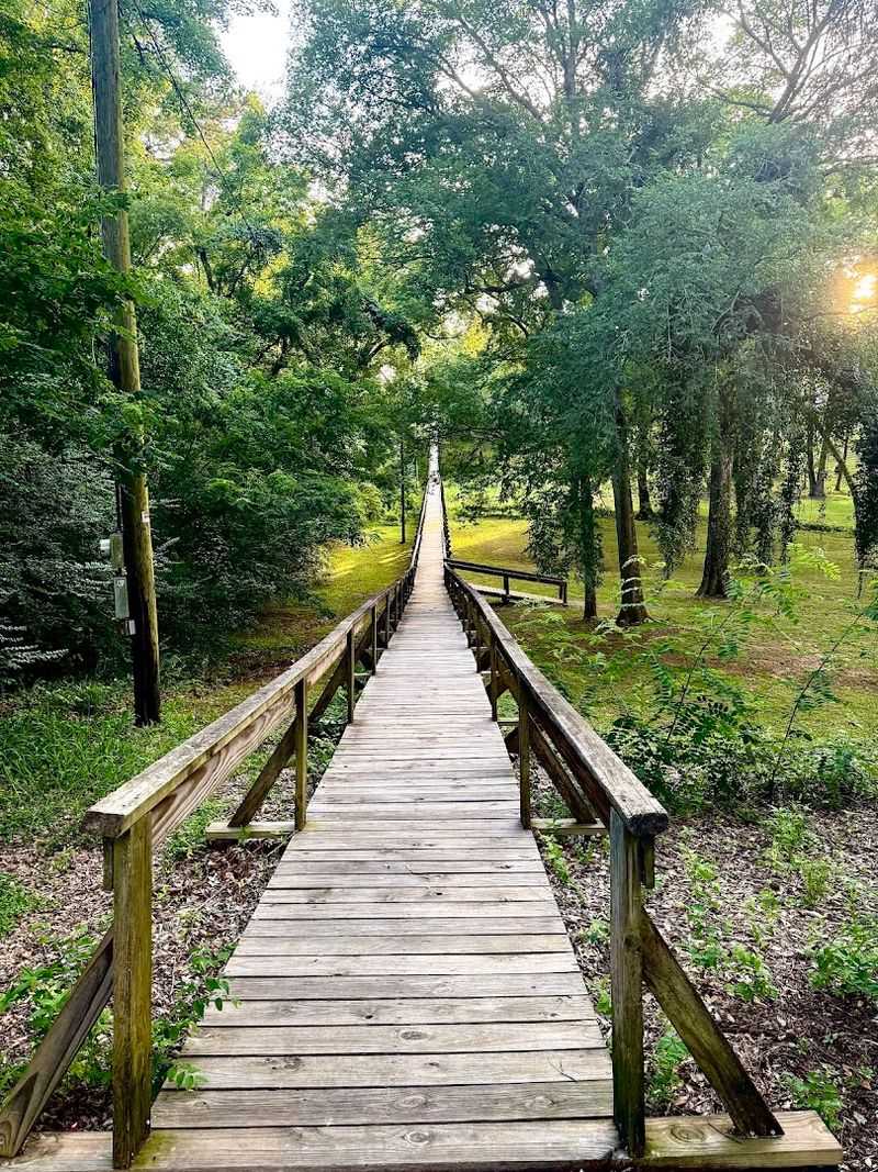 Surrounded by Nature's Peaceful Symphony Surrounded by Nature's Peaceful Symphony