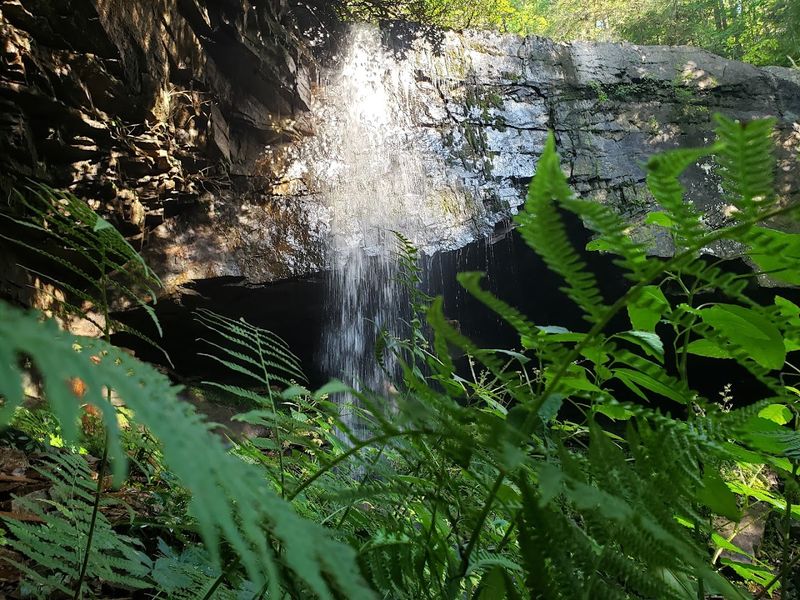 Suter Falls Feels Like the Quieter Side of Tennessee Waterfall Country Suter Falls Feels Like the Quieter Side of Tennessee Waterfall Country
