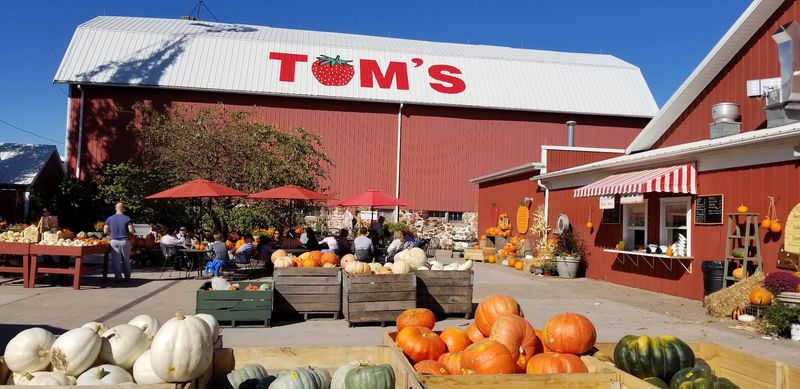 Tom's Farm Market (Huntley)