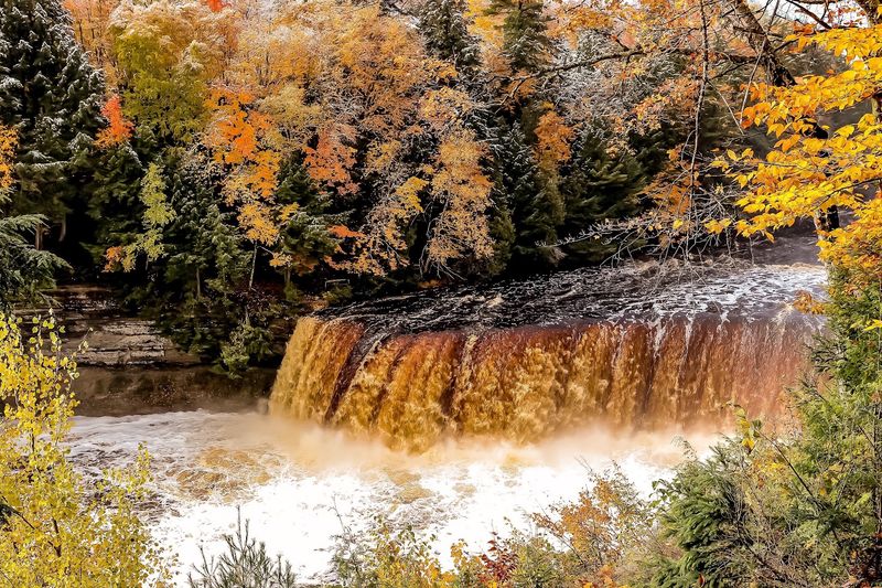 Tahquamenon Falls State Park
