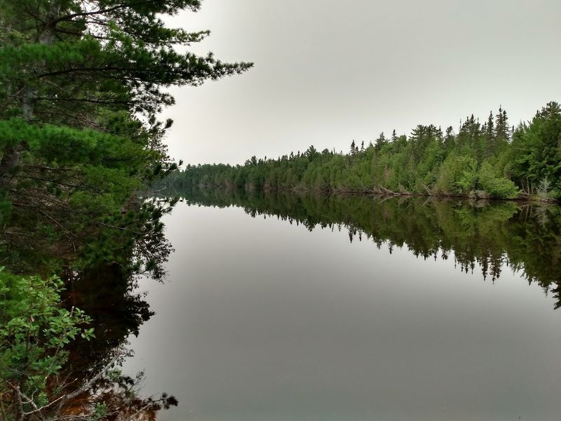 Tahquamenon River