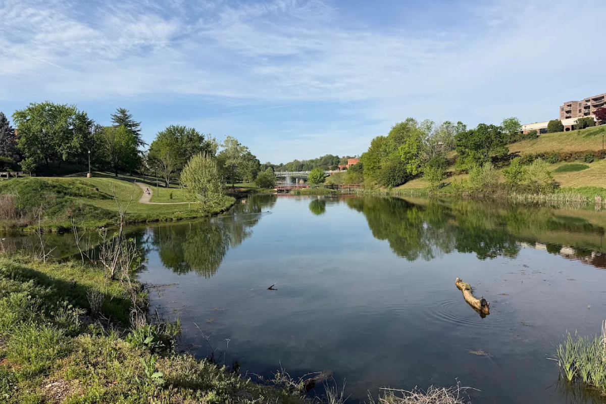 Take This 9-Stop Tennessee Road Trip Through Blount County And See What The Buzz Is About